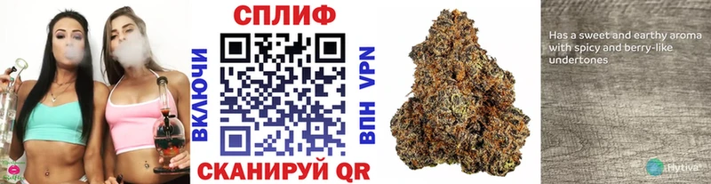 Продажа наркотиков Яровое блэк спрут вход Меф мяу мяу ГАШИШ КОКАИН A PVP Амфетамин