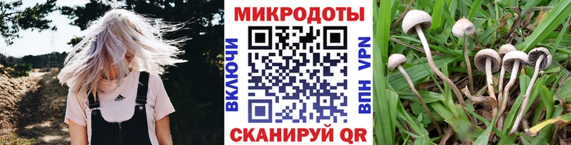 мега ссылка  Яровое  Псилоцибиновые грибы мухоморы 